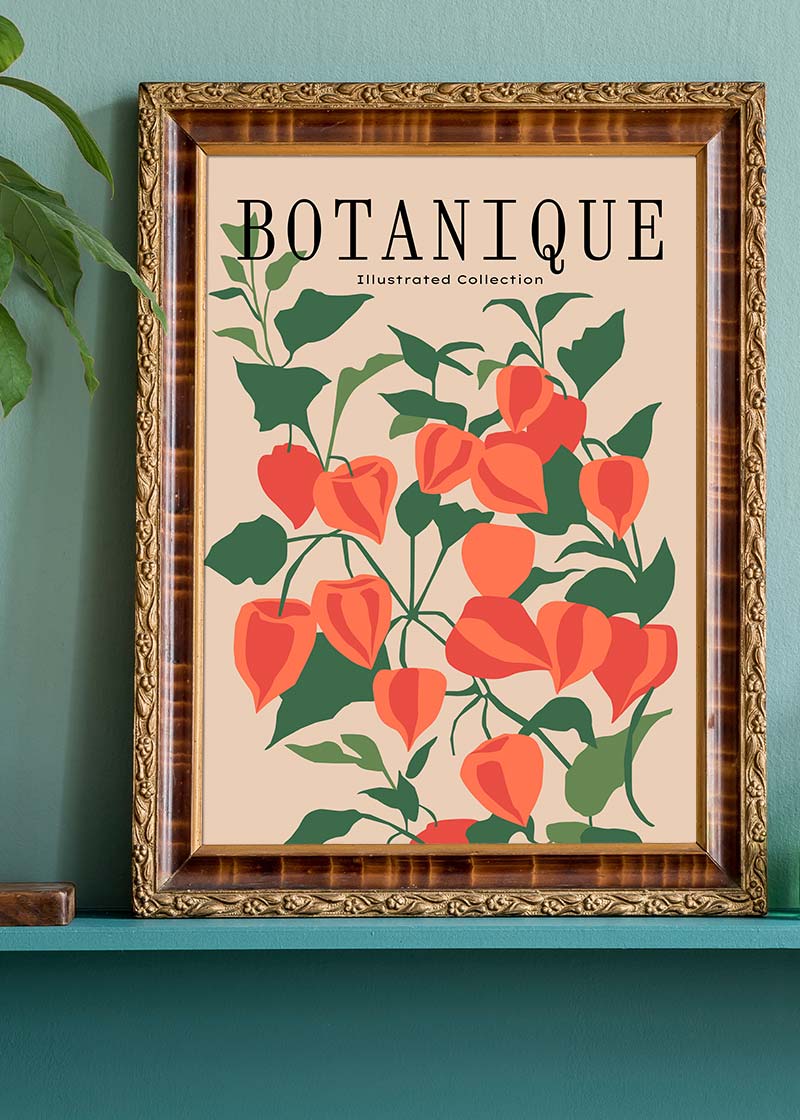 Botanique Illustrated Floral Print