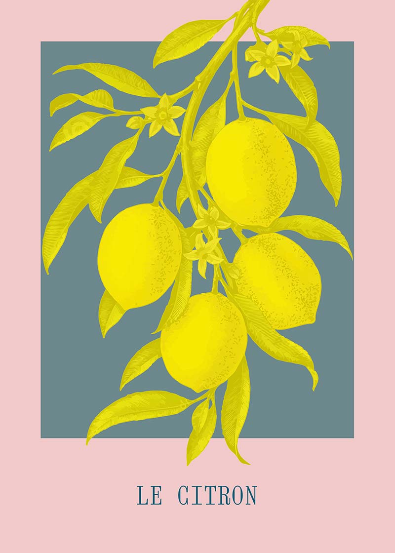 Le Citron Vintage Lemons Print