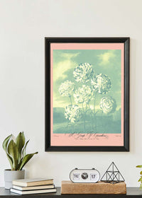 A Group Of Carnations Pastel Flowers Print
