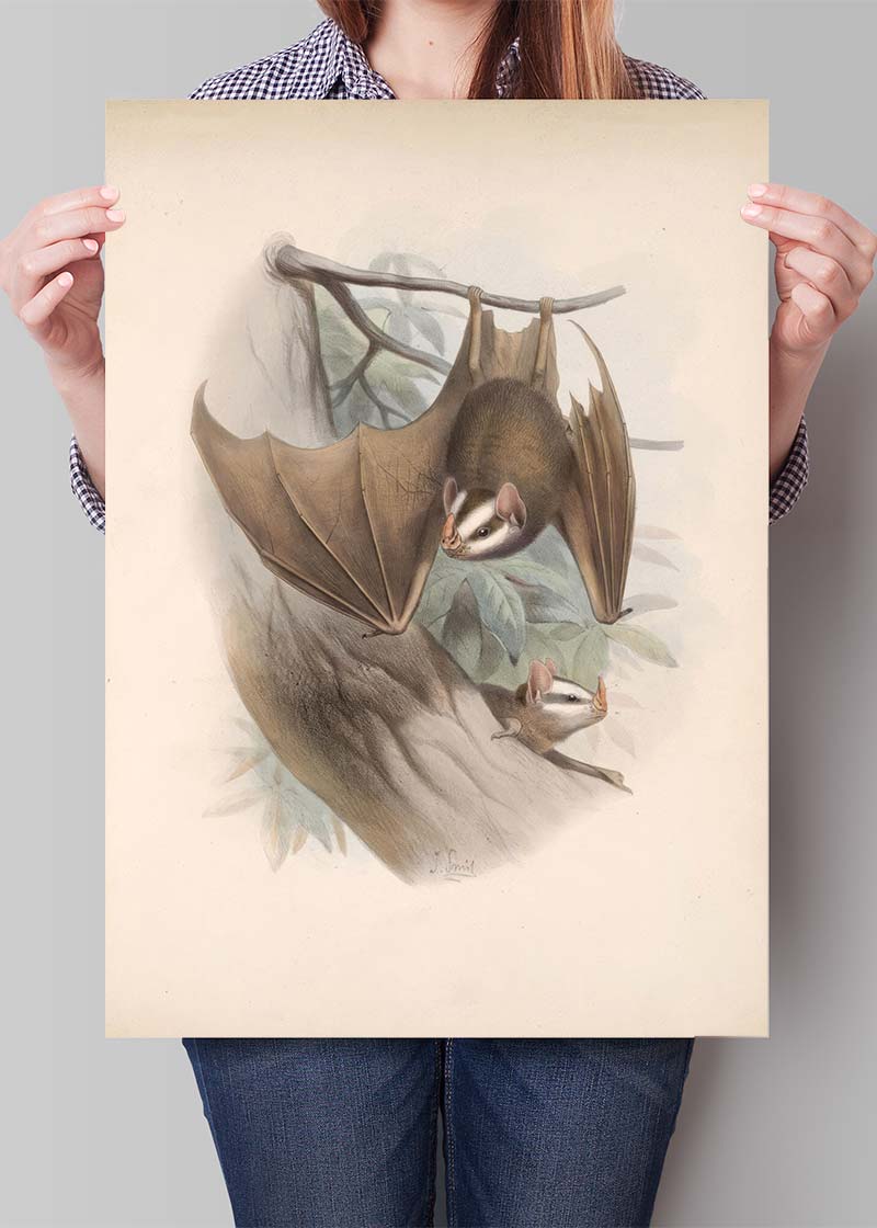 Vintage Bats Halloween Print