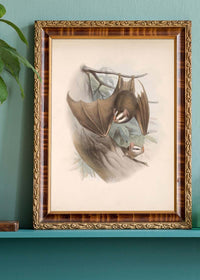Vintage Bats Halloween Print