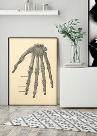 Vintage Medical Skeleton Hand Illustration Print
