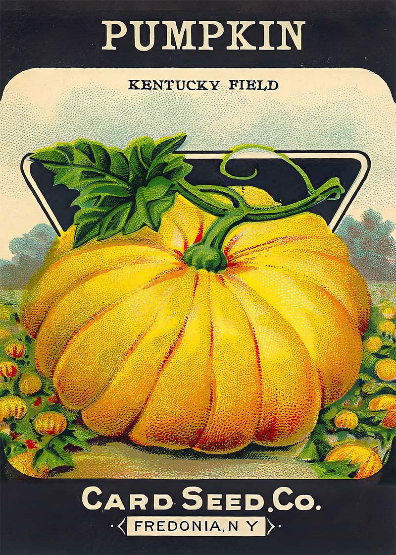Vintage Pumpkin Kentucky Field Poster Print