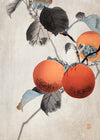 Nuthatcher atop Persimmons by Ohara Koson