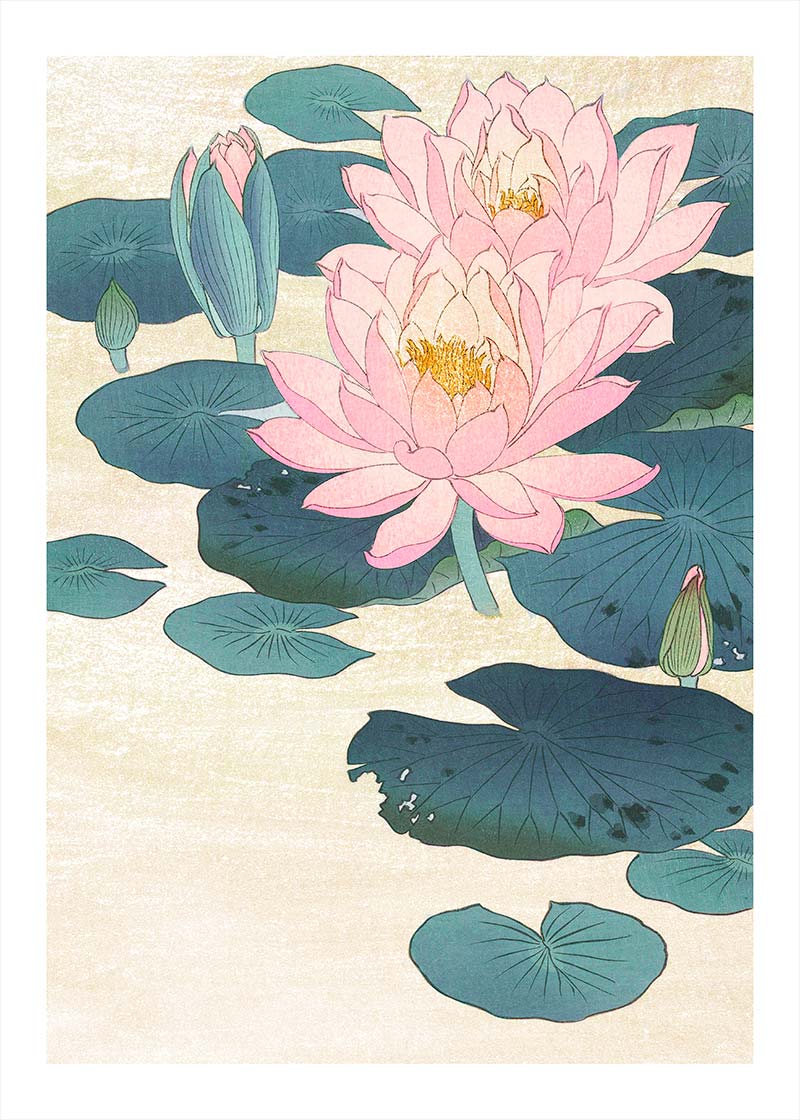 Water Lily by Ohara Koson