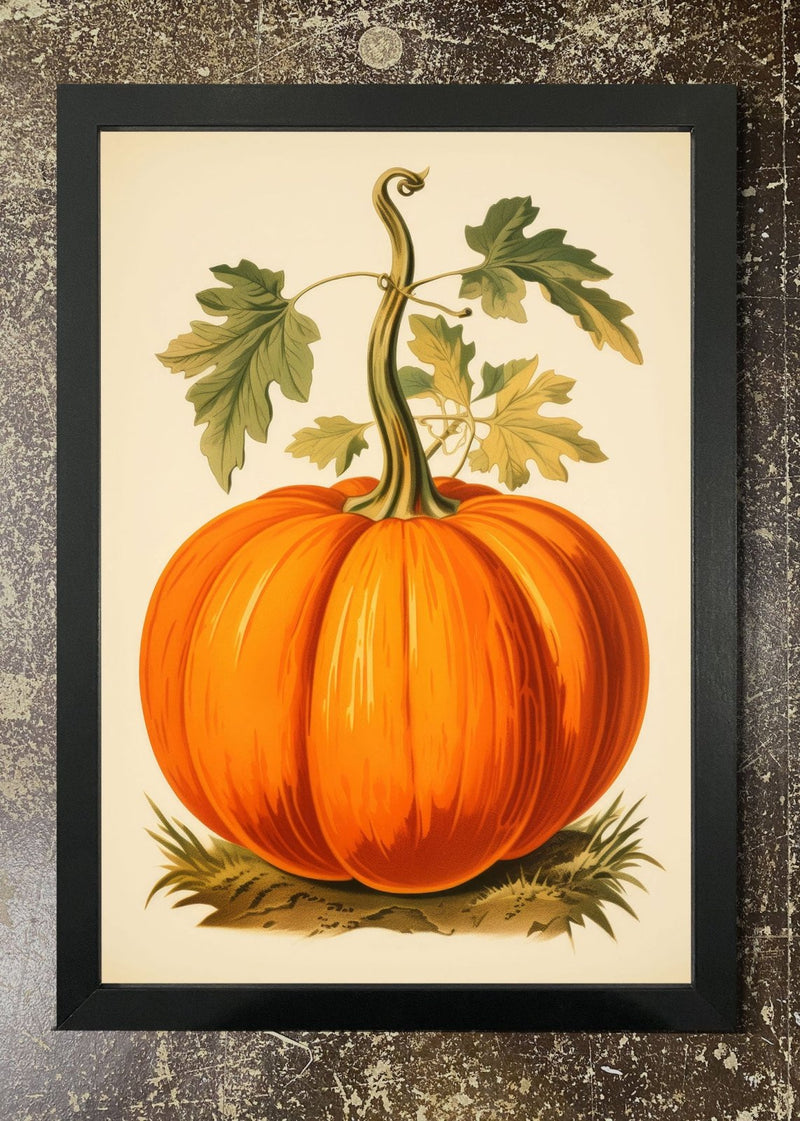 Large Pumpkin Illustration - Framed 21x30cm Print
