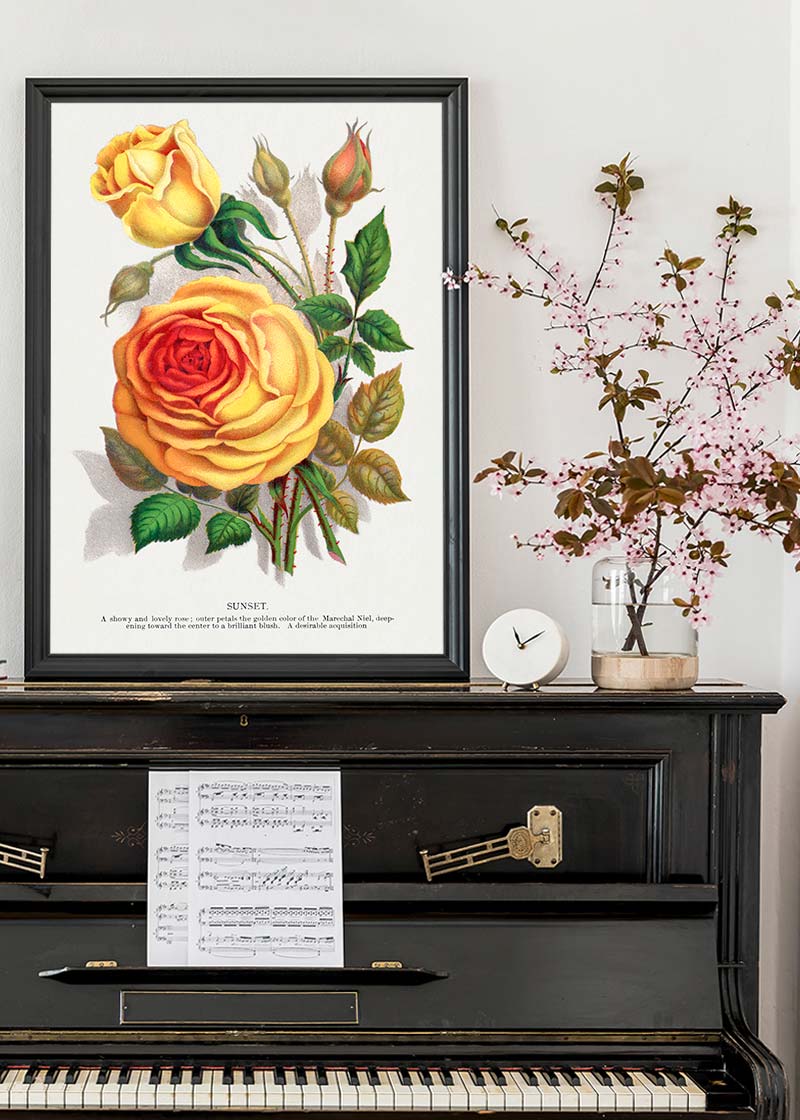 Sunset Rose Vintage Lithograph Print