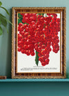 Fay's Prolific Currant Vintage Lithograph Print