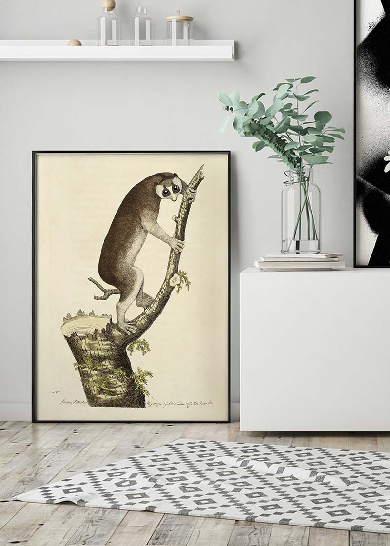 Vintage Lemur Illustration Bird Print